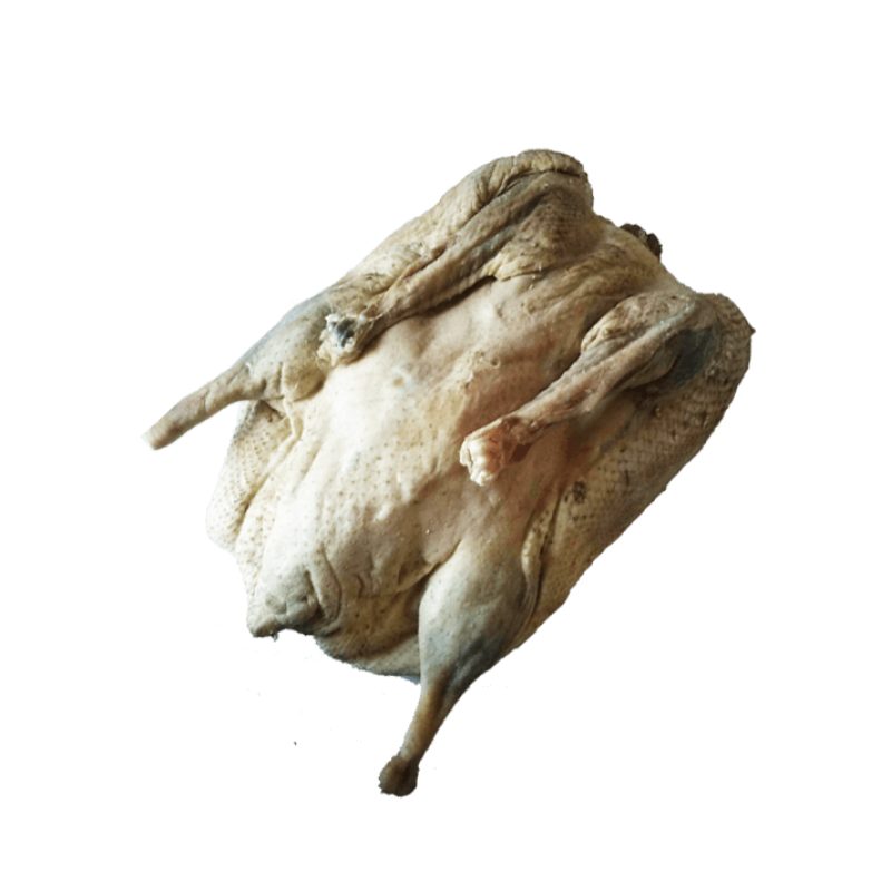 Ardahan Kazı